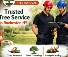 Bills Tree Service – Emergency Tree Removal in Rochester, NY, 24/7