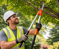 Dependable Tree Care You Can Trust in Buffalo